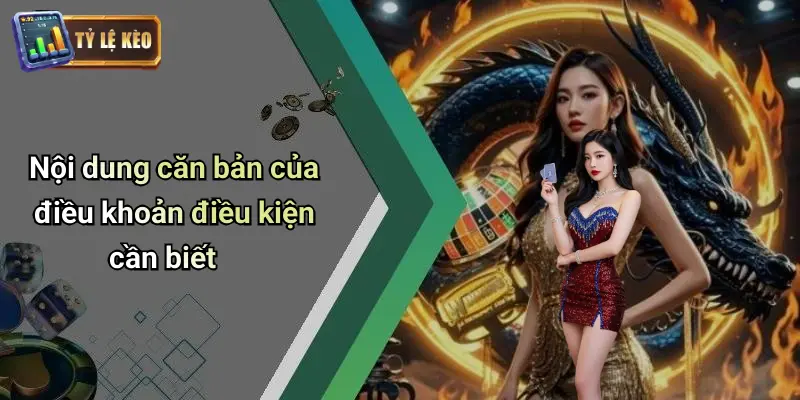 Điều khoản điều kiện 2 Điều Khoản Điều Kiện